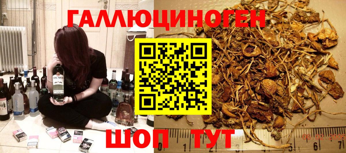 Минусинск  Псилоцибиновые грибы ЛСД  купить наркотик  Вход с VPN 